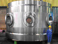 Shell flange - JSW